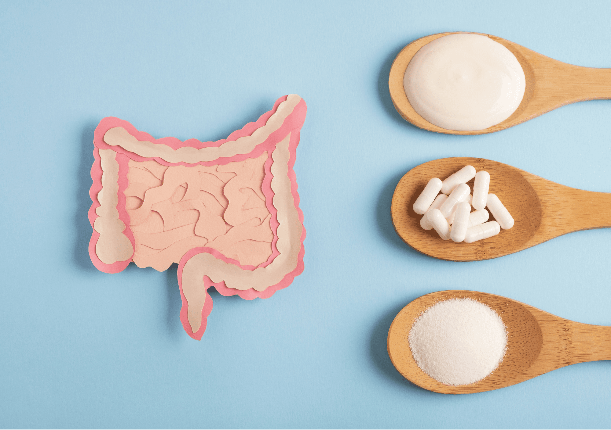 Probiyotik ve Prebiyotik Besinler: Bağırsak Sağlığı İçin Bilmeniz Gerekenler